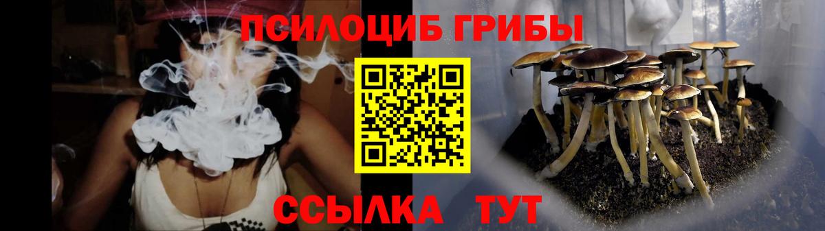 Псилоцибиновые грибы Psilocybe  Псилоцибиновые грибы Psilocybe  Вход с VPN  Нерюнгри 